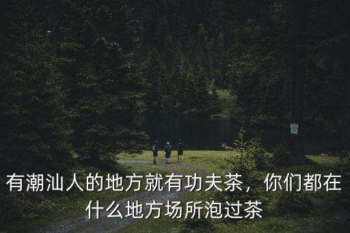 有潮汕人的地方就有功夫茶，你們都在什么地方場所泡過茶