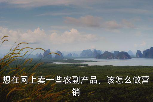 想在網上賣一些農副產品，該怎么做營銷