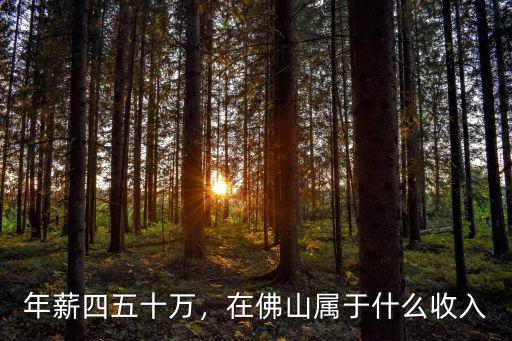 在佛山的收入怎么樣,佛山的平均工資是多少