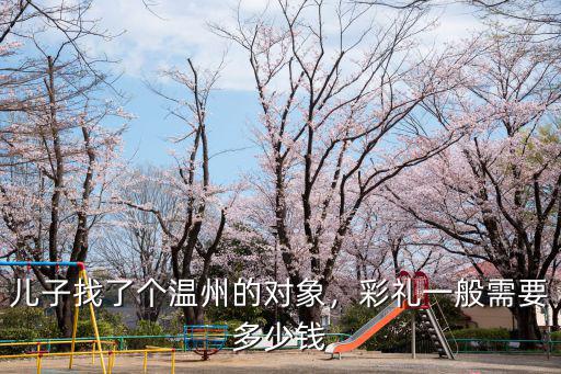 兒子找了個溫州的對象，彩禮一般需要多少錢