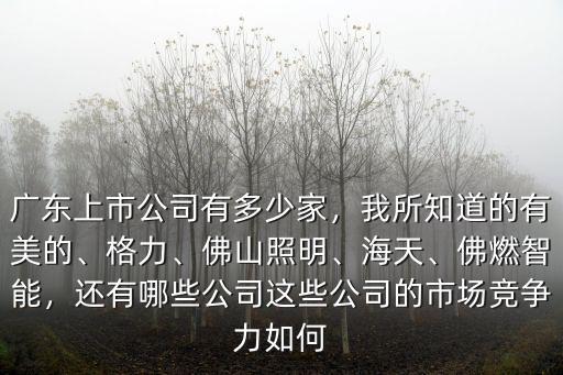 廣東榕泰公司有多少員工,還有哪些公司
