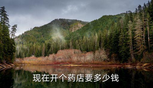 現在開個藥店要多少錢