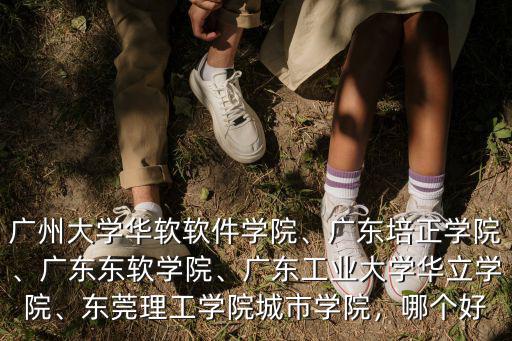 廣州大學華軟軟件學院、廣東培正學院、廣東東軟學院、廣東工業大學華立學院、東莞理工學院城市學院，哪個好