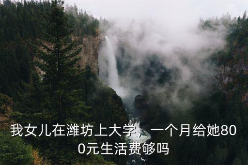 我女兒在濰坊上大學(xué)，一個月給她800元生活費夠嗎