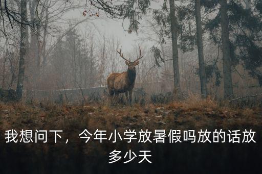 我想問下，今年小學放暑假嗎放的話放多少天