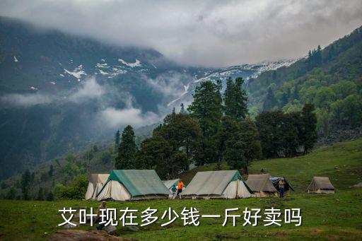 濟南艾絨多少錢一斤,艾葉現在多少錢一斤