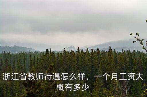 浙江省教師工資標(biāo)準(zhǔn)是多少錢,浙江省教師待遇怎么樣