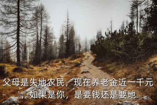 父母是失地農民，現在養老金近一千元，如果是你，是要錢還是要地