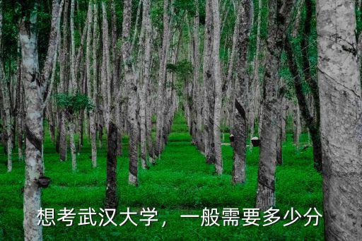 想考武漢大學(xué)，一般需要多少分