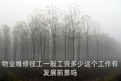 物業(yè)維修技工一般工資多少這個工作有發(fā)展前景嗎