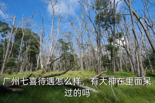 廣州七喜待遇怎么樣，有大神在里面呆過的嗎