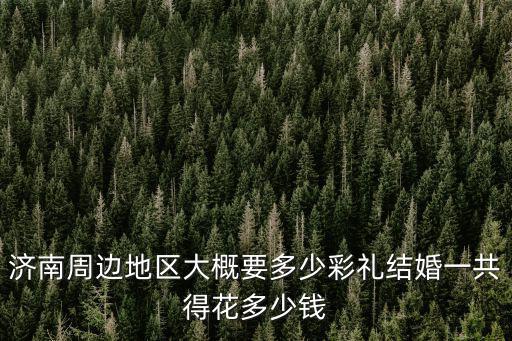濟(jì)南周邊地區(qū)大概要多少彩禮結(jié)婚一共得花多少錢