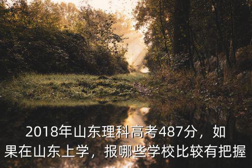 2018山東理科474分排名多少,如果在山東上學