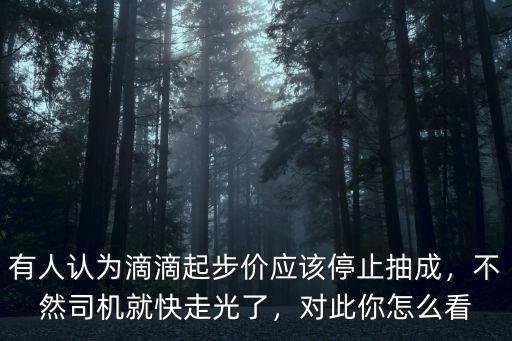 有人認(rèn)為滴滴起步價(jià)應(yīng)該停止抽成，不然司機(jī)就快走光了，對(duì)此你怎么看