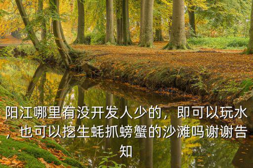 陽江生蠔哪里有批發,陽江哪里有沒開發人少的