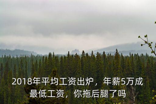 臺州18年平均工資多少,2018年平均工資出爐