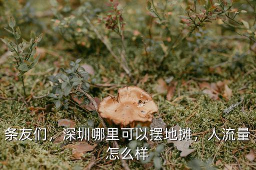 深圳公明怎么擺地攤,深圳擺地攤有哪些地方選擇