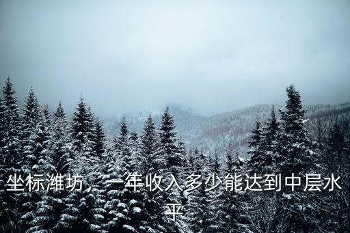 在濰坊新坊子租個房子需要多少錢,兒子19年要去濰坊上班了