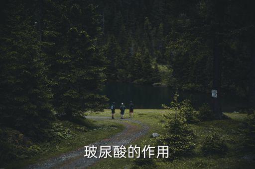 玻尿酸的作用