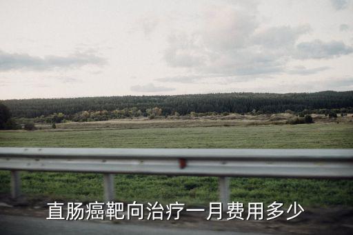 直腸癌靶向治療一月費用多少