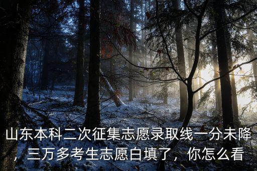 2020年山東省二次征集可以填多少個志愿,山東的本科征集志愿填多少個