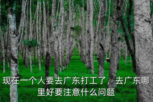 廣東窮人打工去哪里,去廣東打工有發(fā)展前途嗎