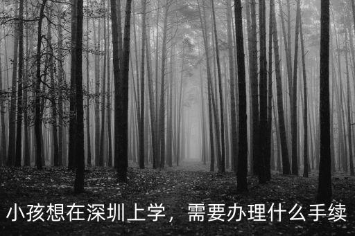 小孩想在深圳上學，需要辦理什么手續