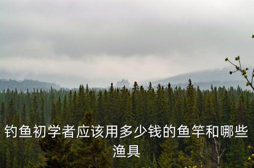 釣魚初學者應該用多少錢的魚竿和哪些漁具