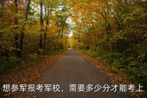 想參軍報考軍校，需要多少分才能考上