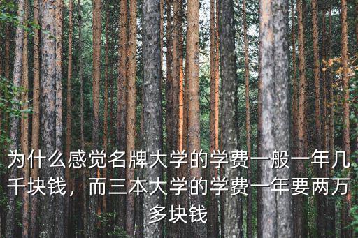 為什么感覺名牌大學的學費一般一年幾千塊錢，而三本大學的學費一年要兩萬多塊錢