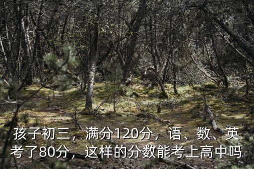 孩子初三，滿(mǎn)分120分，語(yǔ)、數(shù)、英考了80分，這樣的分?jǐn)?shù)能考上高中嗎