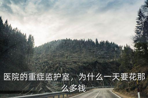 濰坊人民醫院重癥監護室一天多少錢,醫院的重癥監護室