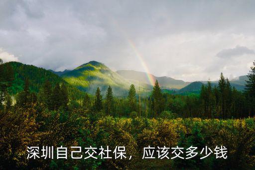在深圳自己能交社保要多少錢,深圳自己交社保