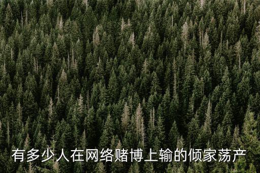 廣東豐牛網絡有多少人,又有多少人輸得傾家蕩產