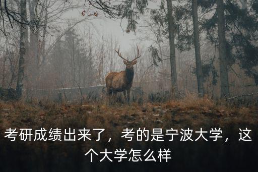考研成績出來了，考的是寧波大學，這個大學怎么樣