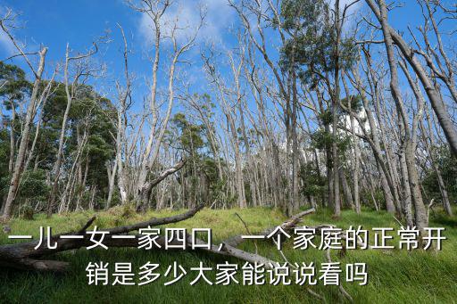 一兒一女一家四口，一個家庭的正常開銷是多少大家能說說看嗎