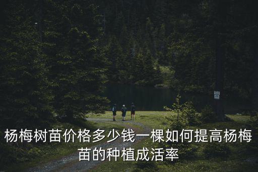 臨沂黑魁楊梅苗多少錢一顆,如何提高楊梅苗的種植成活率