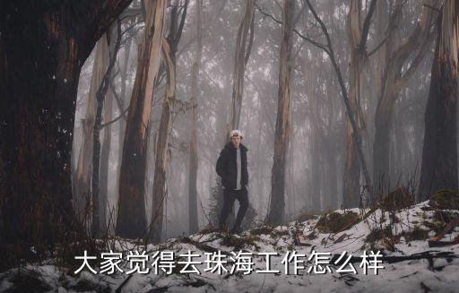 大家覺得去珠海工作怎么樣