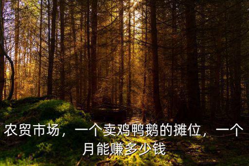 清遠市哪里有賣雞鴨鵝,市場里常有雞鴨賣