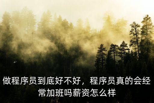 在汕頭市做程序員待遇怎么樣,做程序員到底好不好