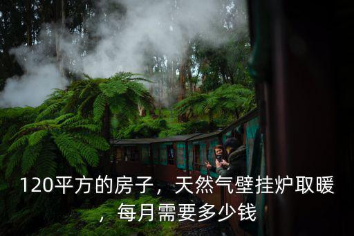 臨沂120平房子用電取暖多少錢,120平方的房子