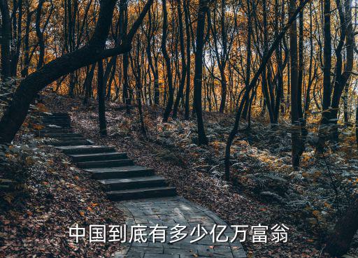 廣州有多少位億萬富翁,中國到底有多少億萬富翁