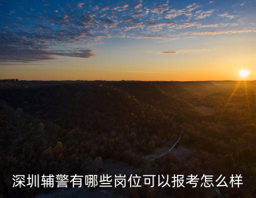 深圳輔警是怎么考試,深圳輔警待遇如何