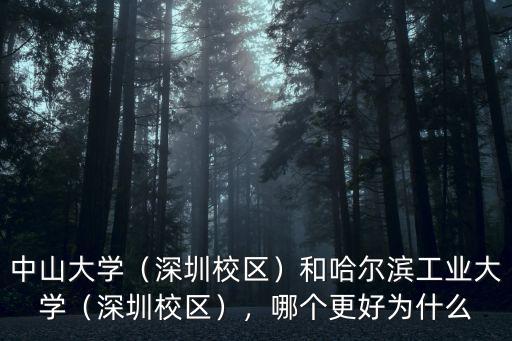中山大學（深圳校區）和哈爾濱工業大學（深圳校區），哪個更好為什么