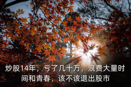 炒股14年，虧了幾十萬，浪費大量時間和青春，該不該退出股市