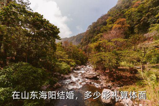 在山東海陽結婚，多少彩禮算體面