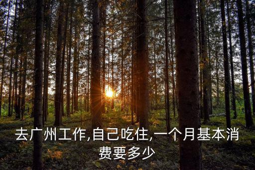 去廣州工作,自己吃住,一個月基本消費要多少