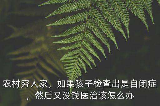 農村窮人家，如果孩子檢查出是自閉癥，然后又沒錢醫治該怎么辦