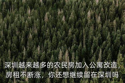 深圳民房哪里多,深圳哪里的小產權房比較好