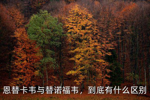 恩替卡韋與替諾福韋，到底有什么區(qū)別